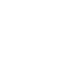 TikTok Icon